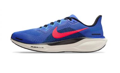 Nike Pegasus 41